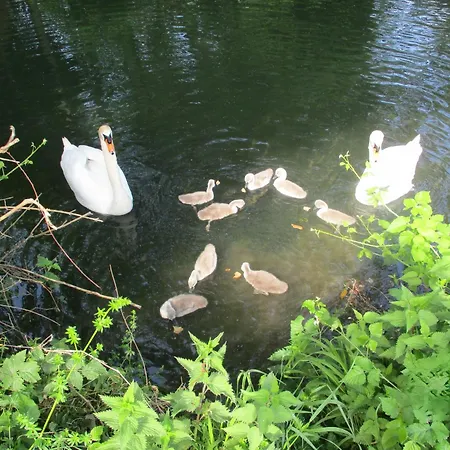 Bd 8km Angouleme Vakantiehuis *