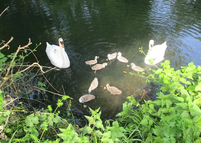 Bd 8km Angouleme Ferienhaus *